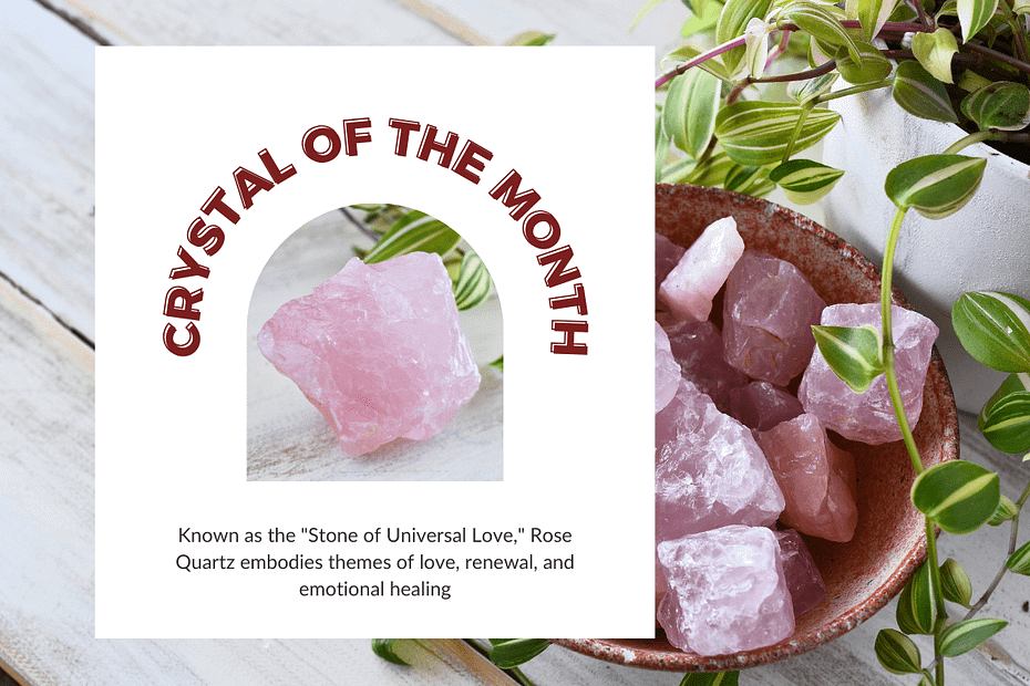 A vibrant image featuring raw Rose Quartz crystals in soft pink hues. One large crystal is displayed in a decorative circular frame on the left, while a bowl filled with Rose Quartz pieces sits on the right, surrounded by lush green plants. Text above reads "Crystal of the Month," and below the image, it says, "Known as the 'Stone of Universal Love,' Rose Quartz embodies themes of love, renewal, and emotional healing."
